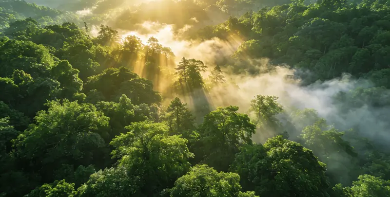 鹤壁肺癌靶向39基因检测及PDL122C3表达检测套餐（组织）图片1
